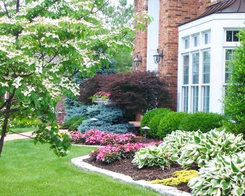 Esquisite-maintenace-in-Clinton-Township